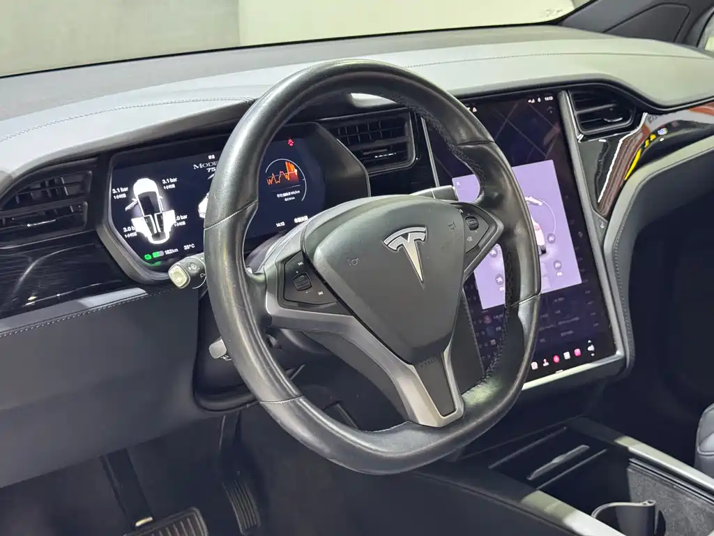 Tesla Model X 2019 — фото 6