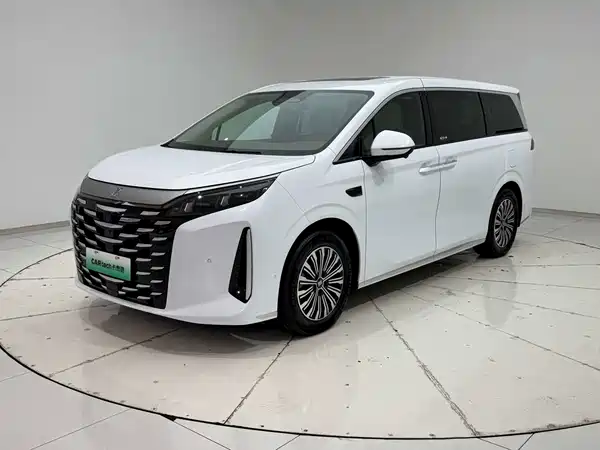 BYD Summer 2025