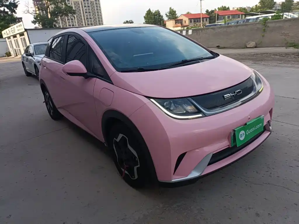 BYD Dolphin 2022