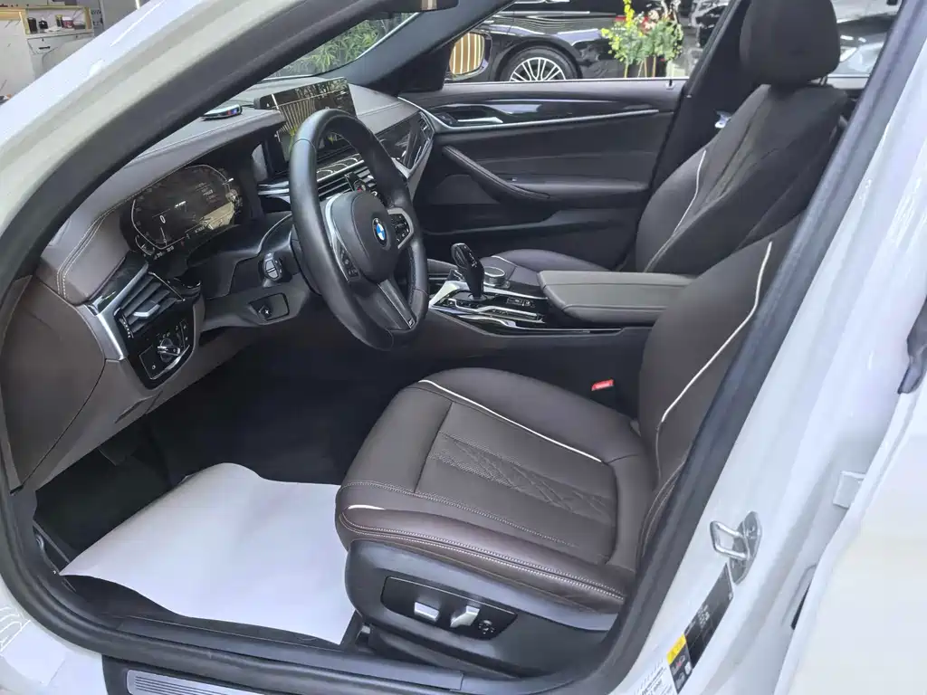 BMW 5 Series New Energy 2021