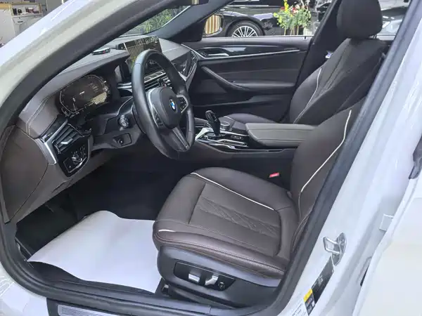 BMW 5 Series New Energy 2021