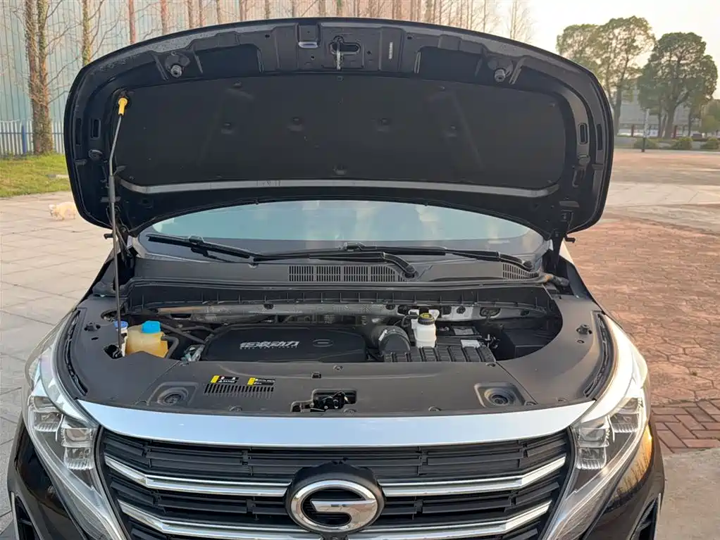 GAC Motor Trumpchi M8 2023 — фото 10