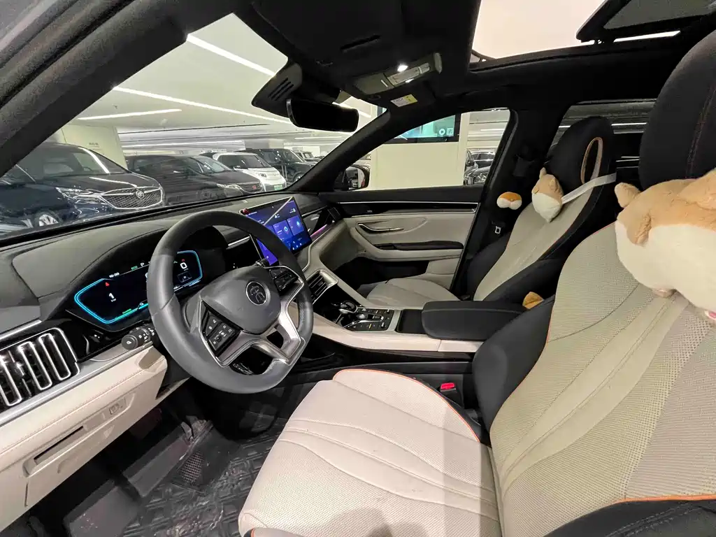 BYD PLUS New Energy 2022 — фото 6