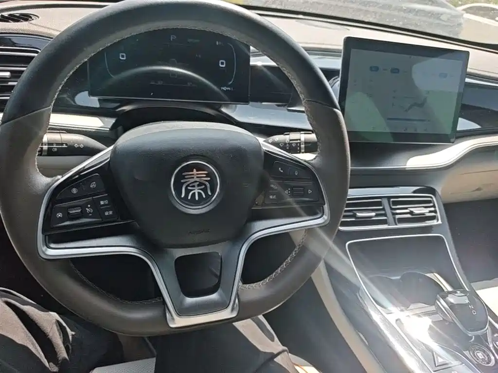 BYD Qin PLUS 2024 — фото 10