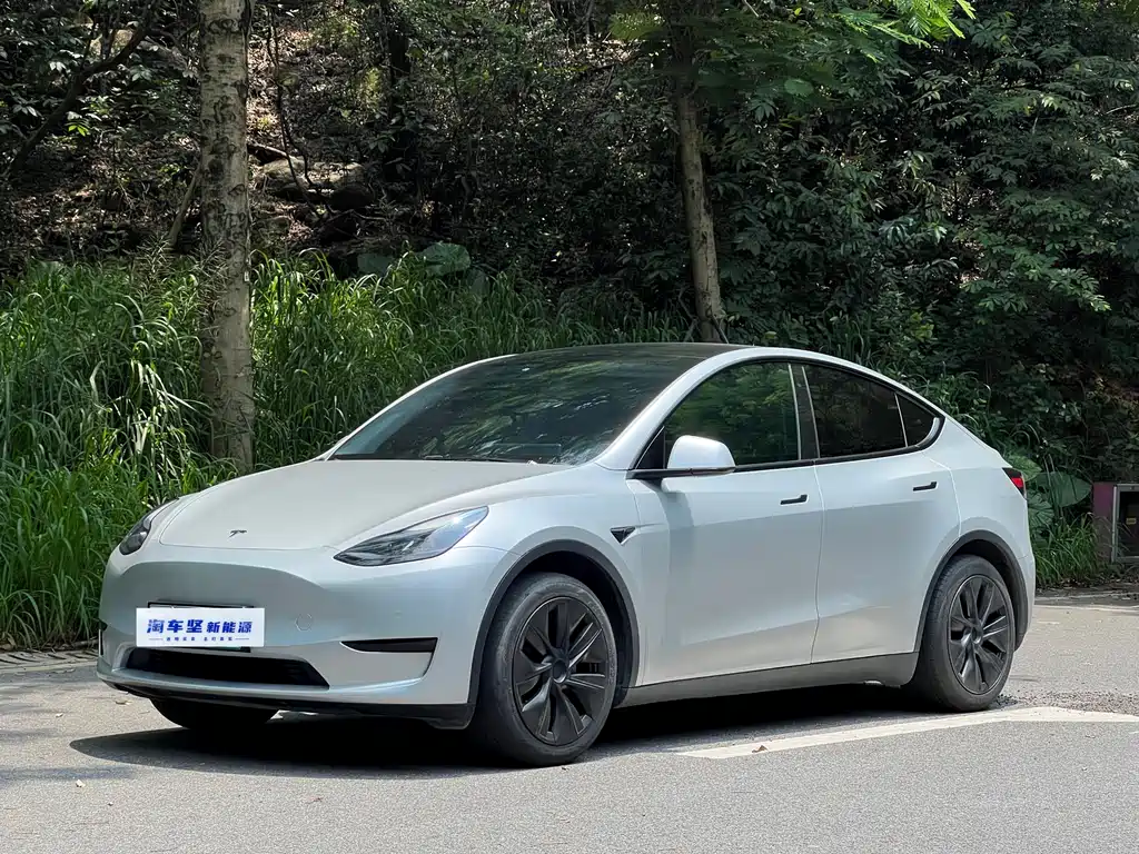 Tesla Model Y 2023 — фото 1