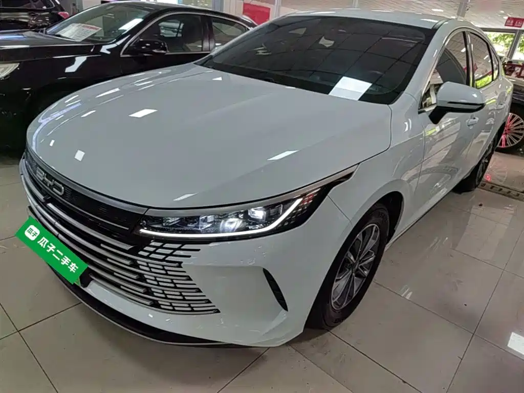 BYD Destroyer 05 2024 — фото 1