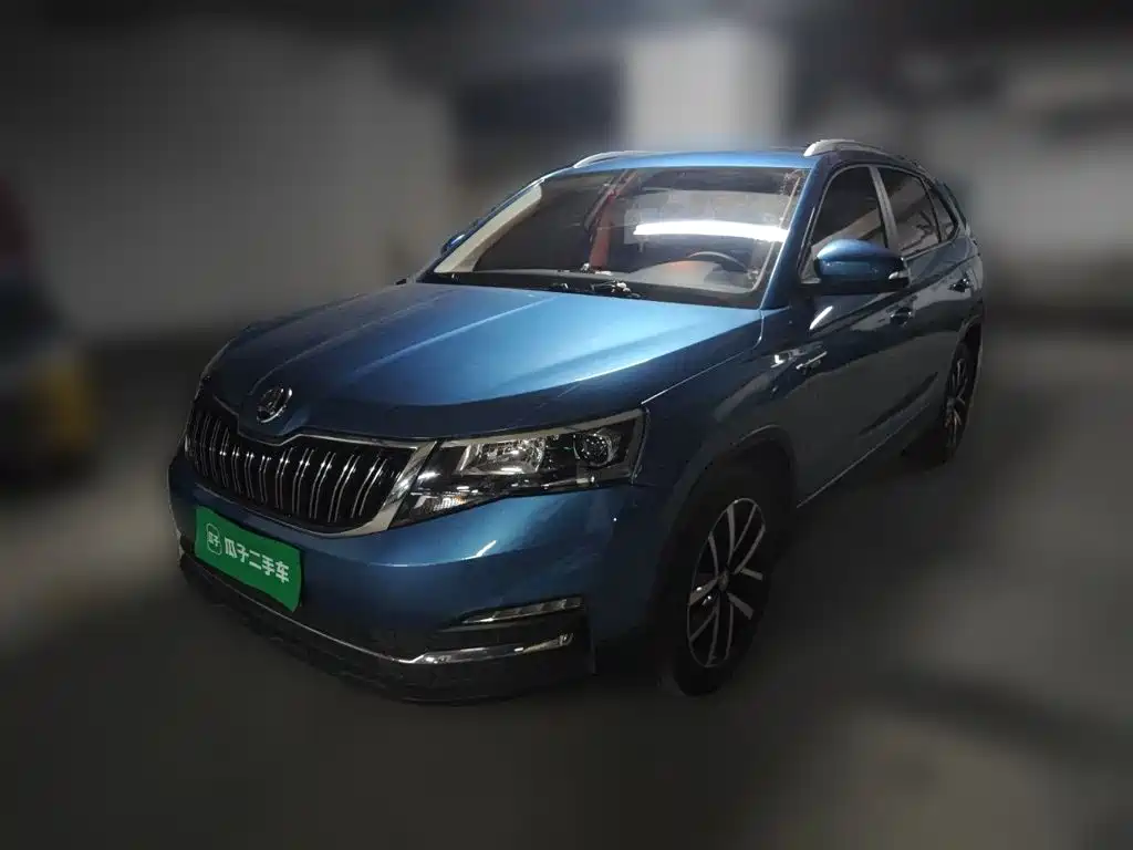 Skoda Kamiq 2020 — фото 1