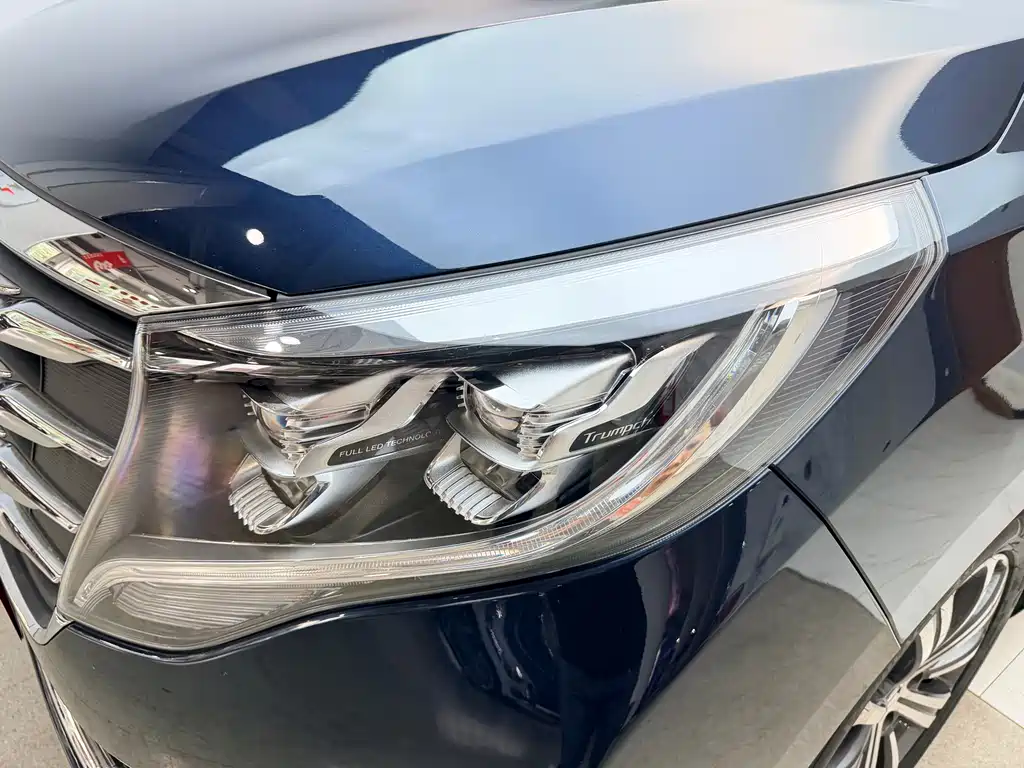 GAC Motor Trumpchi M8 2019 — фото 25