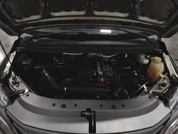 Dongfeng Lingzhi 2024