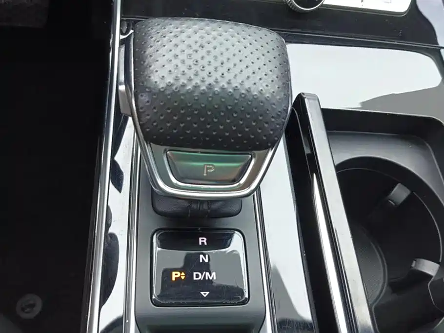 Roewe RX5 MAX 2020 — фото 16