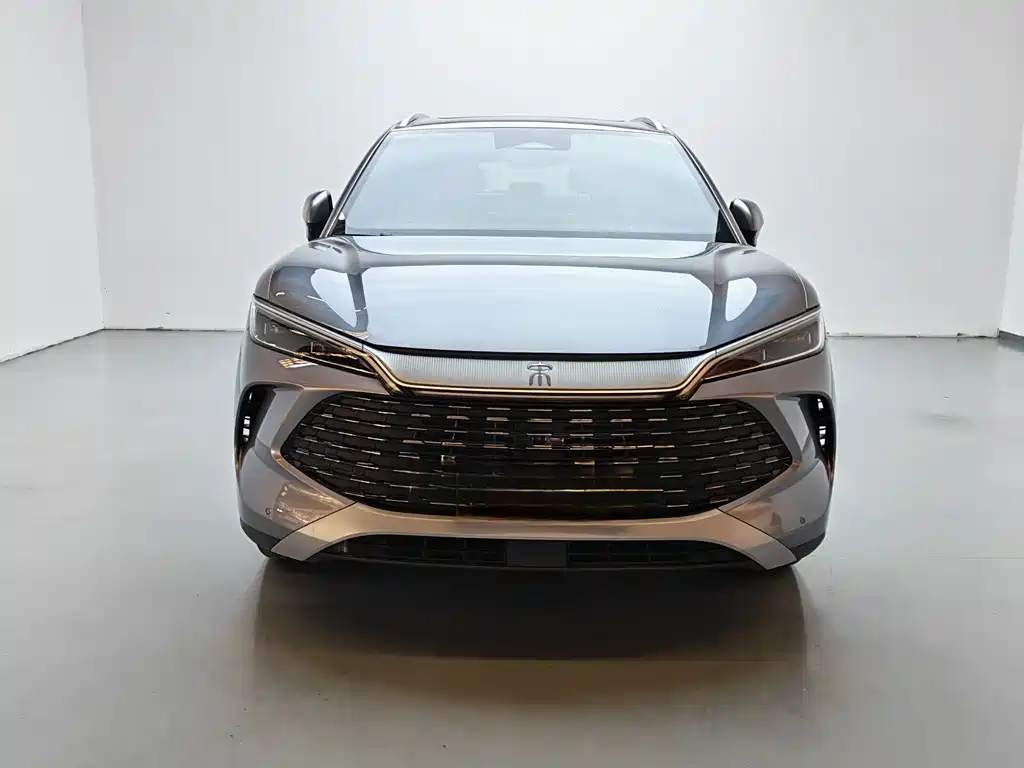 BYD L DM-i 2024 — фото 2