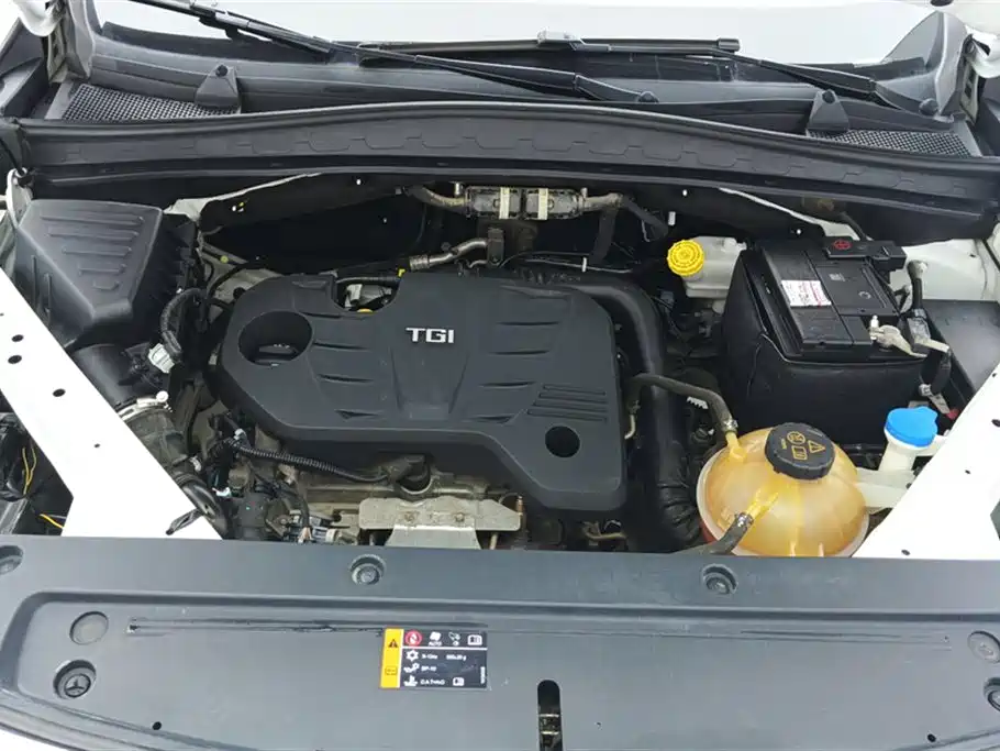 Roewe RX5 MAX 2020 — фото 10