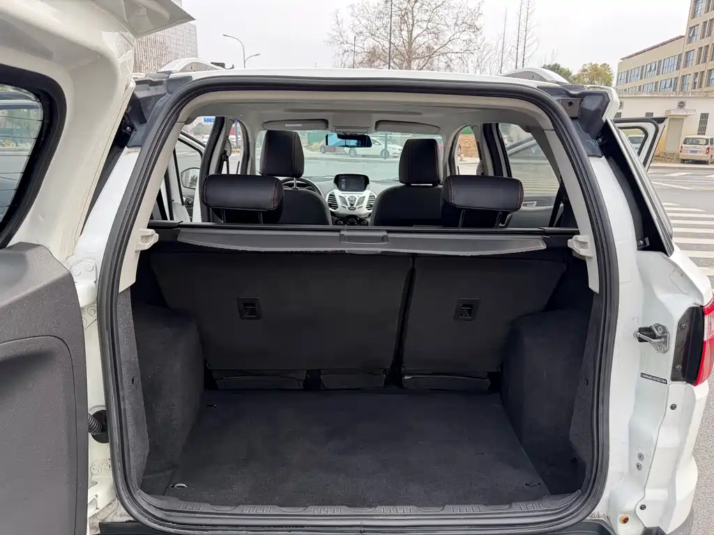 Ford Ecosport 2014 — фото 23