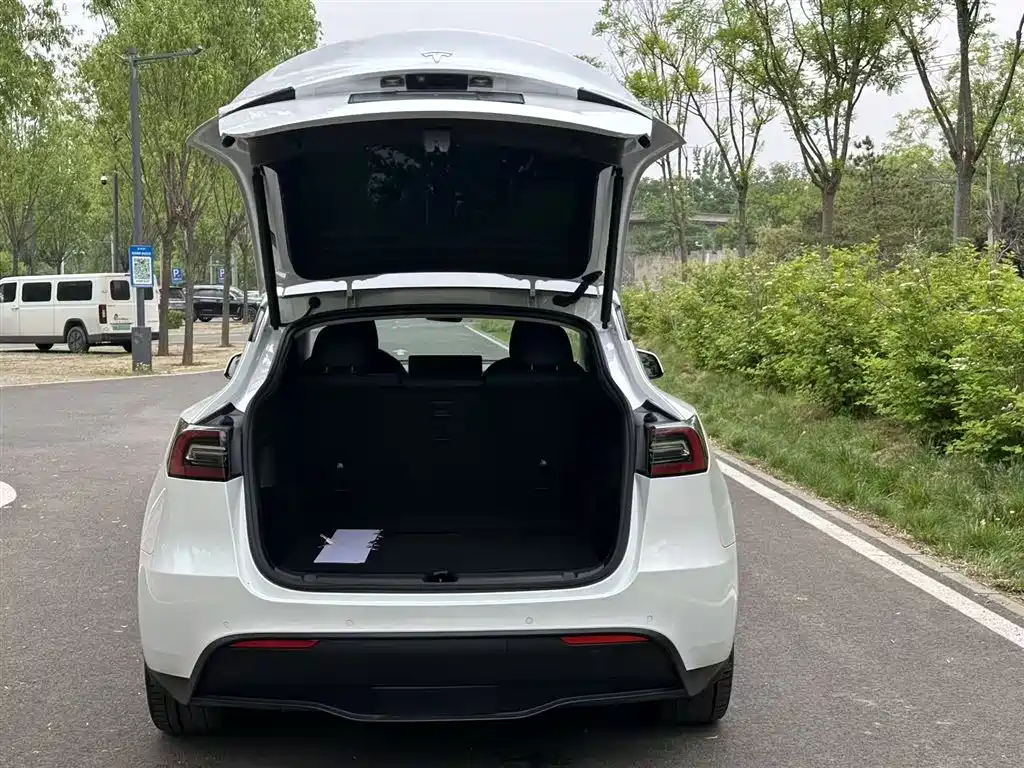 Tesla Model Y 2021 — фото 19