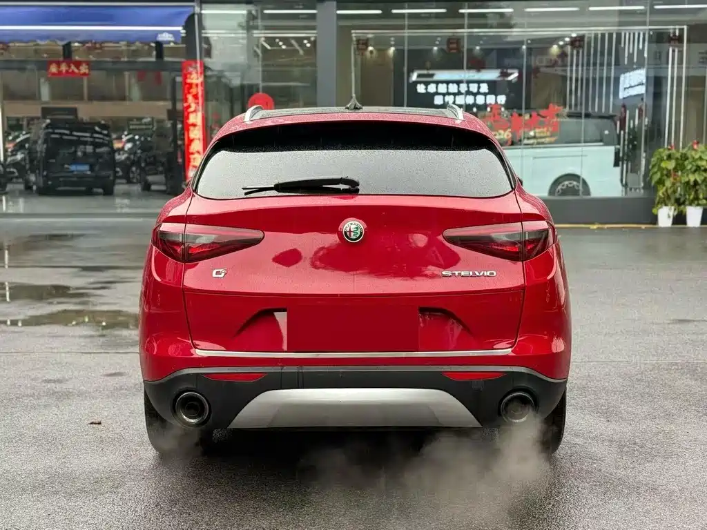 Alfa Romeo Stelvio 2019 — фото 8
