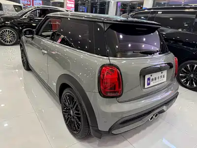 MINI MINI 2021