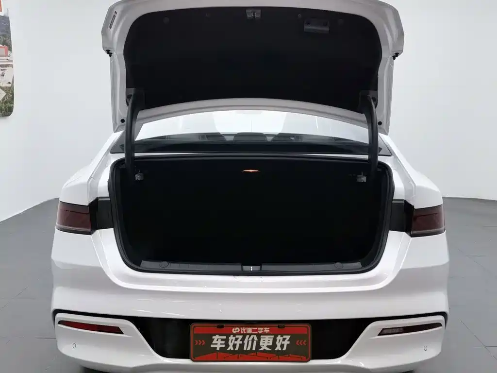 BYD Qin PLUS 2024 — фото 16