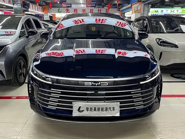 BYD Destroyer 05 2024