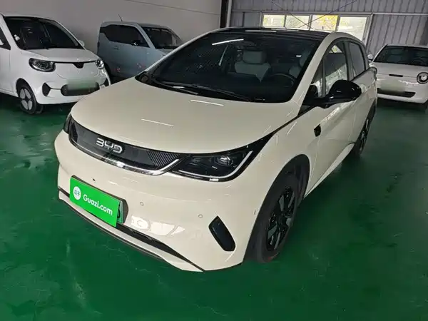 BYD Dolphin 2025