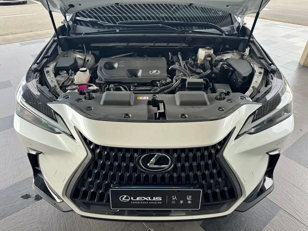 Lexus NX 2024 — фото 7