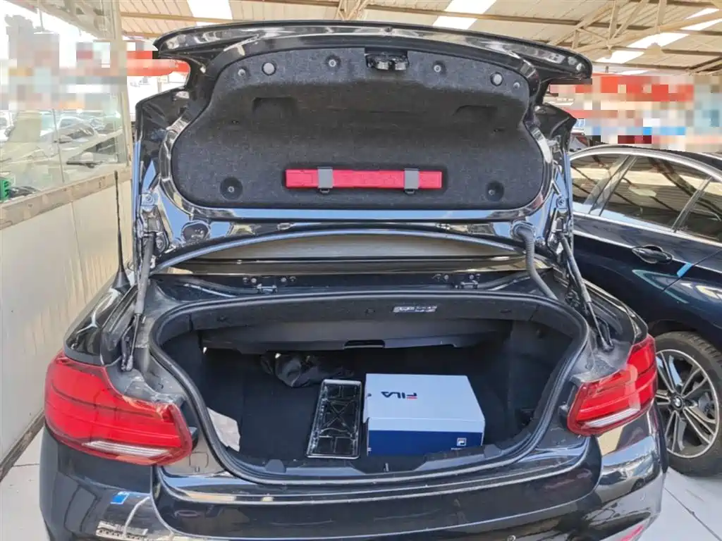 BMW 2 Series 2018 — фото 19