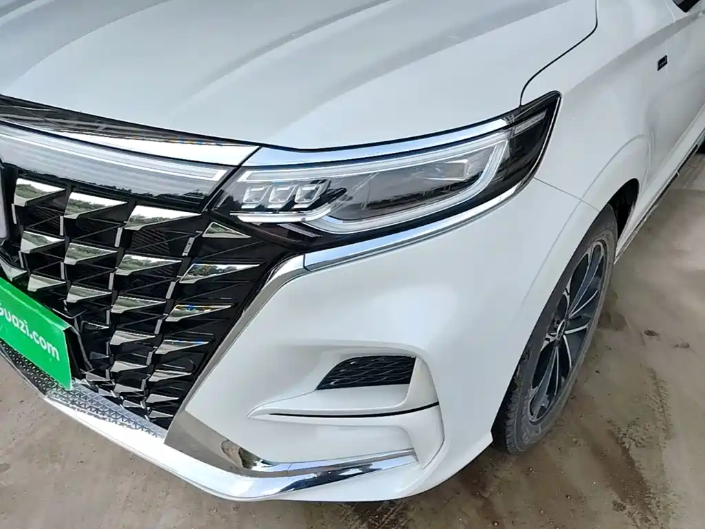 Roewe iMAX8 2024 — фото 24
