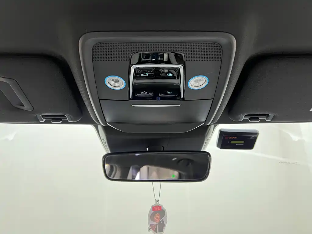 BYD PLUS New Energy 2022 — фото 24