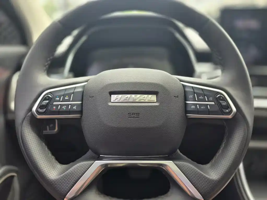 Haval H6 2023 — фото 16