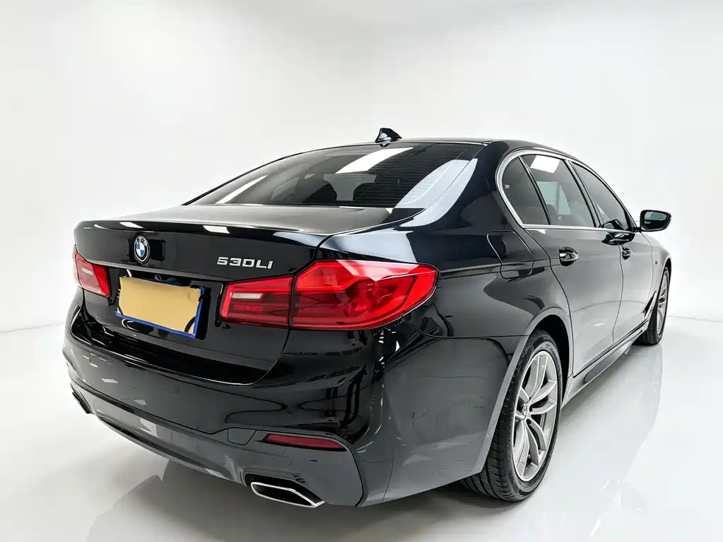 BMW 5 Series 2020 — фото 6
