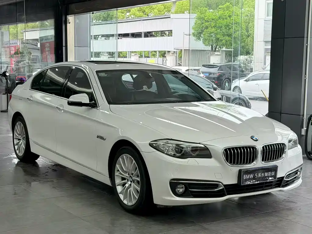 BMW 5 Series 2017 — фото 3