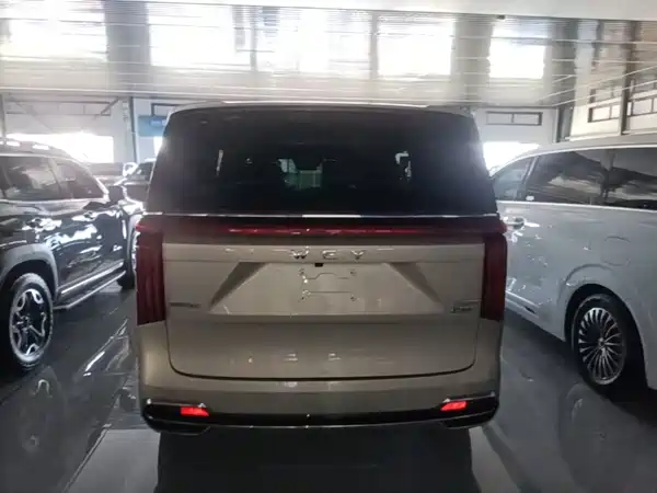 Wey Wey 2024
