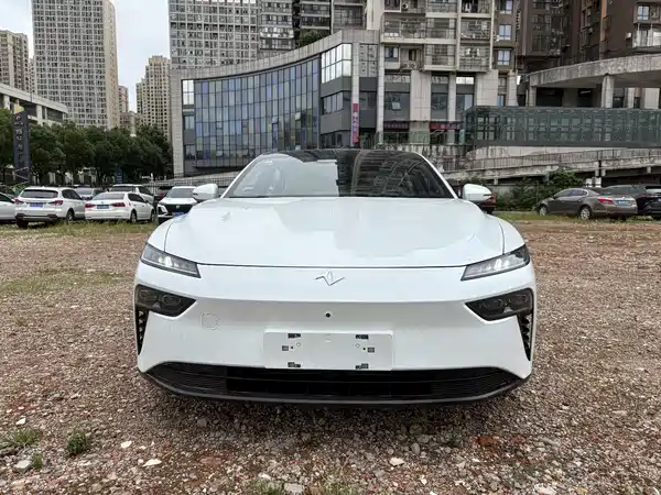 Dongfeng e007 2024