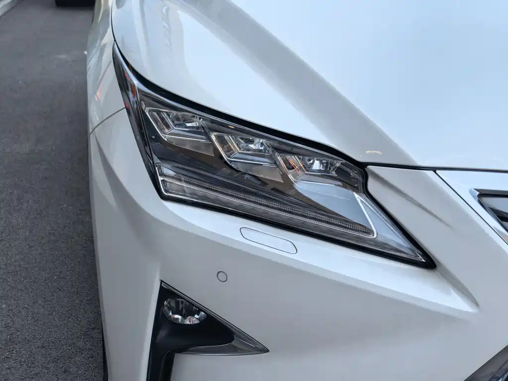 Lexus RX 2017 — фото 13