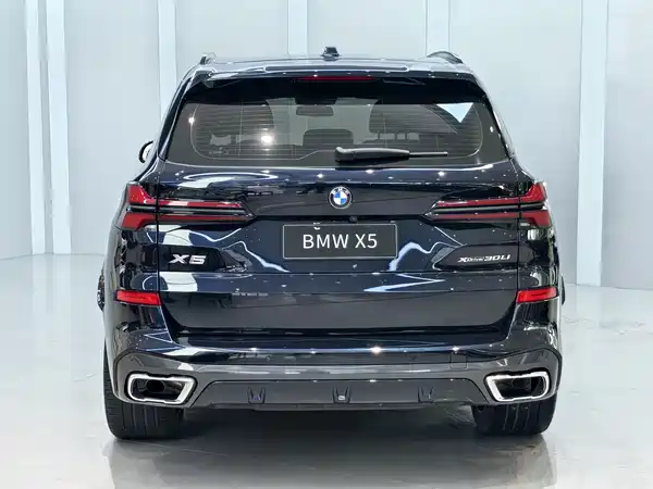 BMW X5 2024