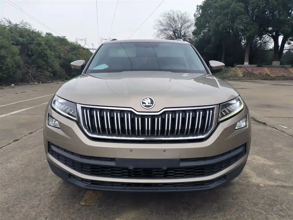 Skoda Kodiaq 2017 — фото 3