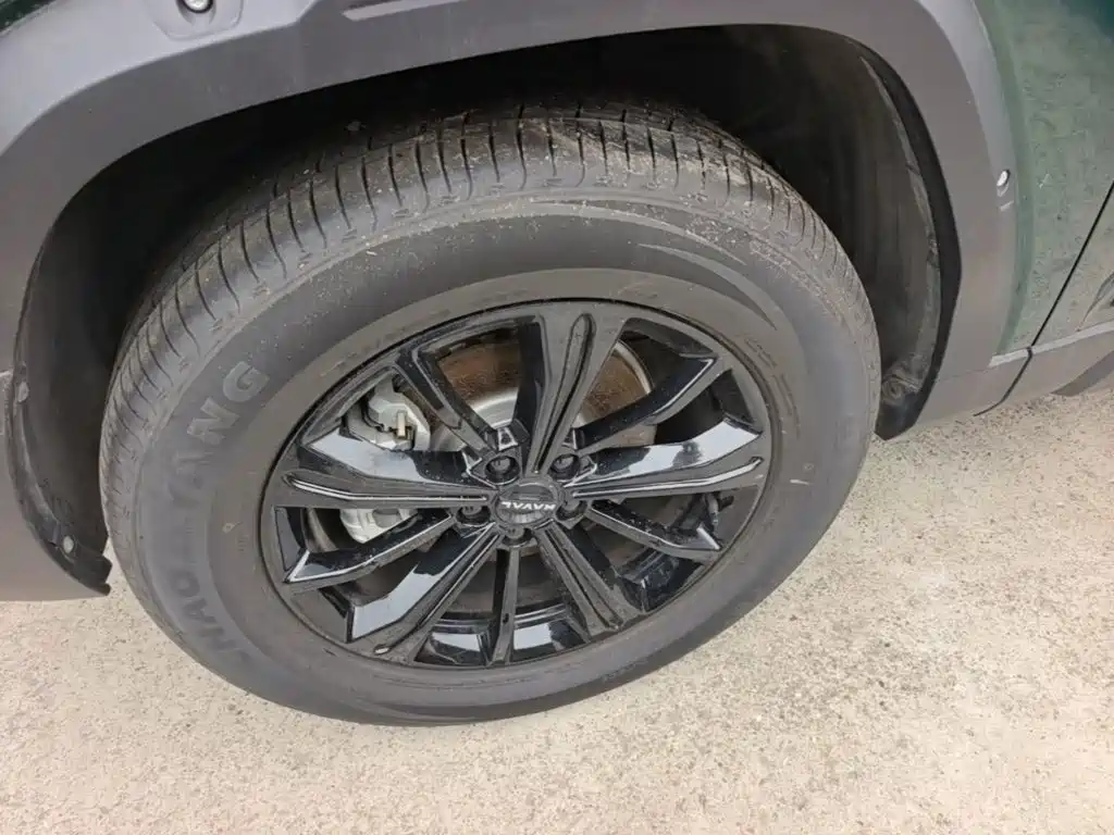 Haval Raptors Fuel 2025 — фото 23