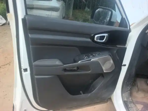 Haval Cool Dog 2023