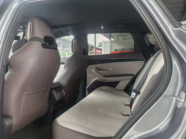 BYD Song PLUS New Energy 2025