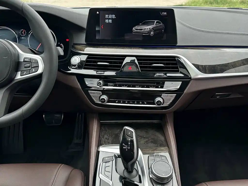 BMW 5 Series 2018 — фото 21