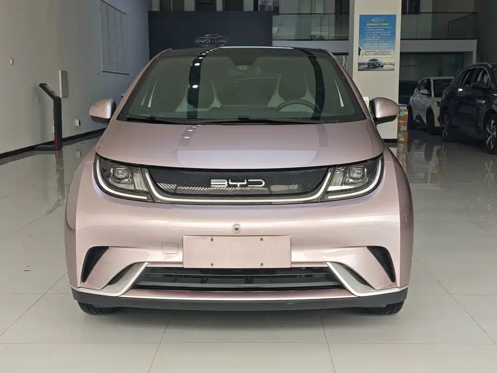 BYD Dolphin 2022