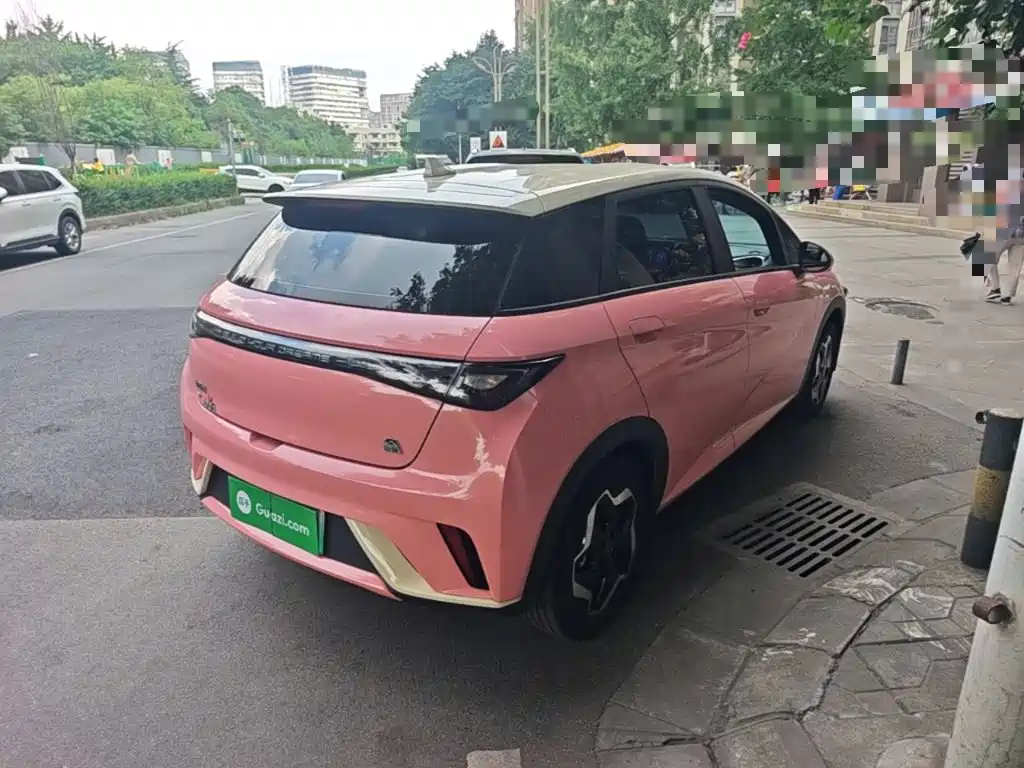 BYD Dolphin 2021
