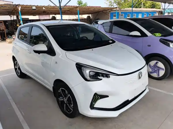 Changan Benben E-Star 2020
