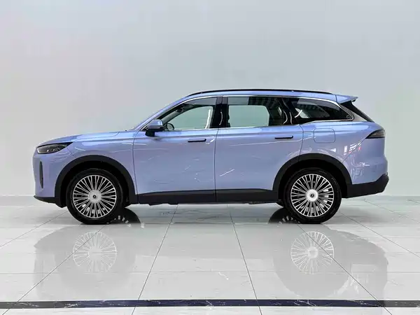 Chery Fengyun T9 2024