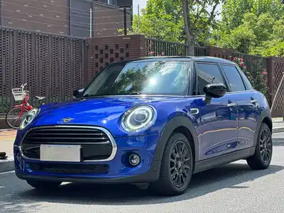 MINI MINI 2019