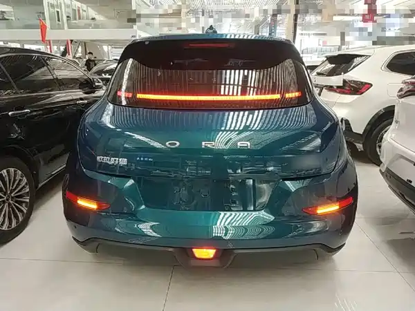 Ora Good Cat 2024