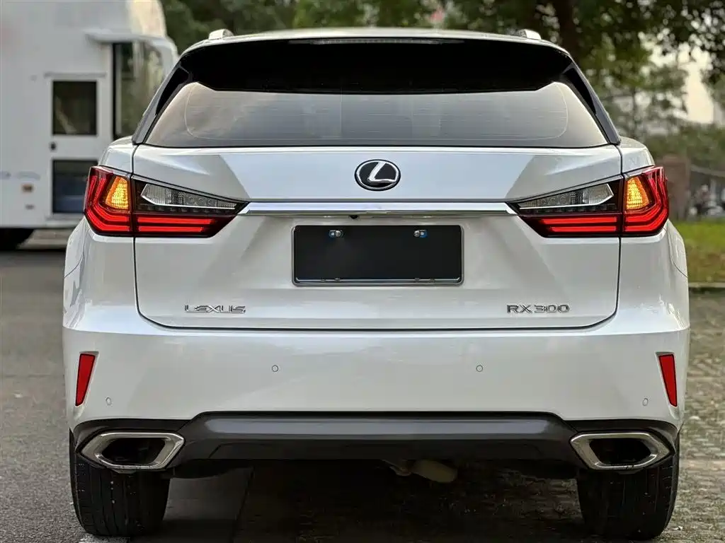 Lexus RX 2018 — фото 13