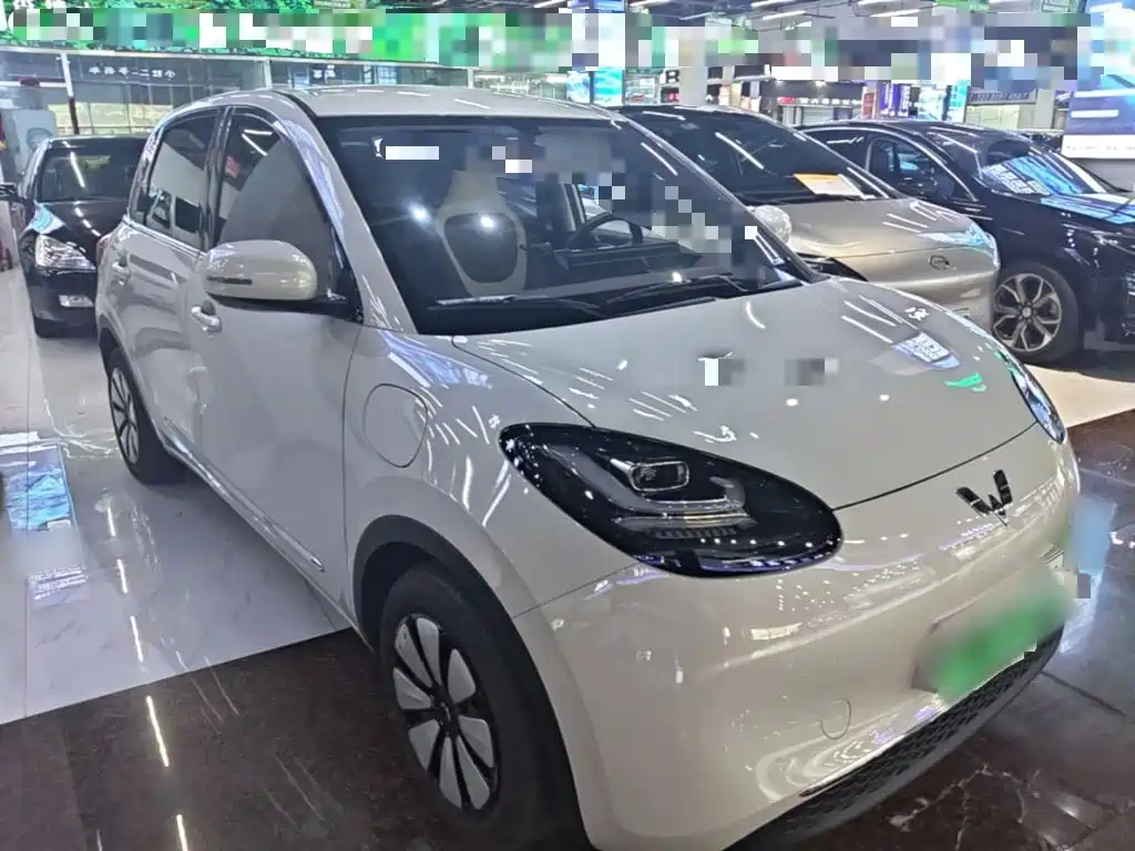 Wuling Bingo 2024