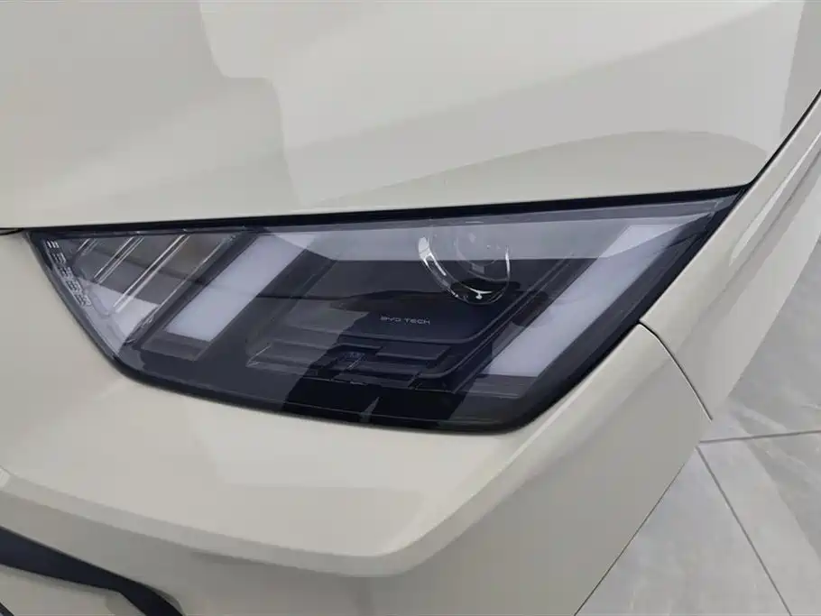BYD Seagull 2024