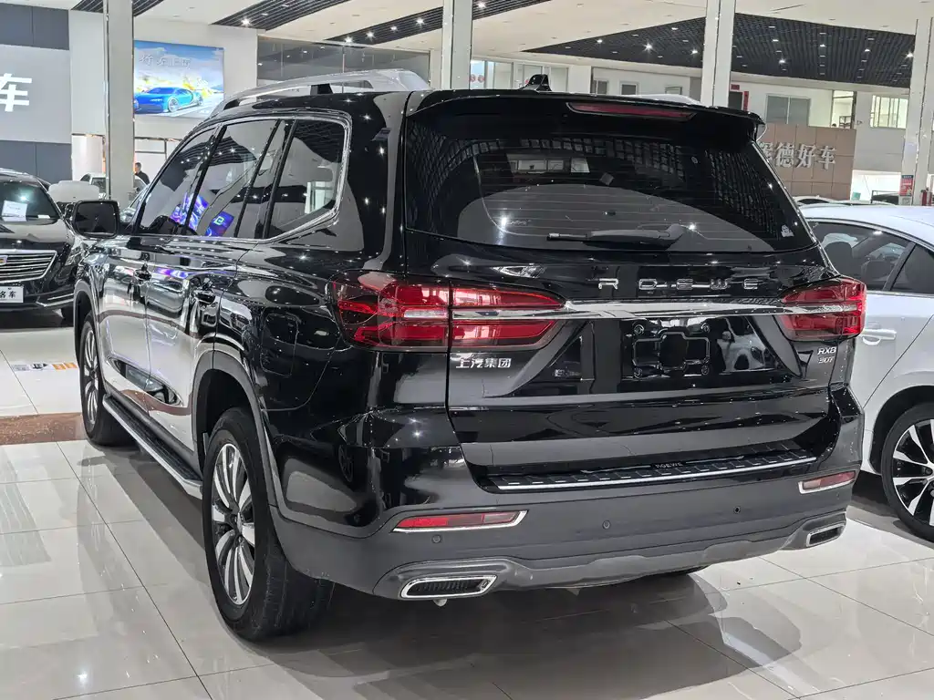 Roewe RX8 2021 — фото 19