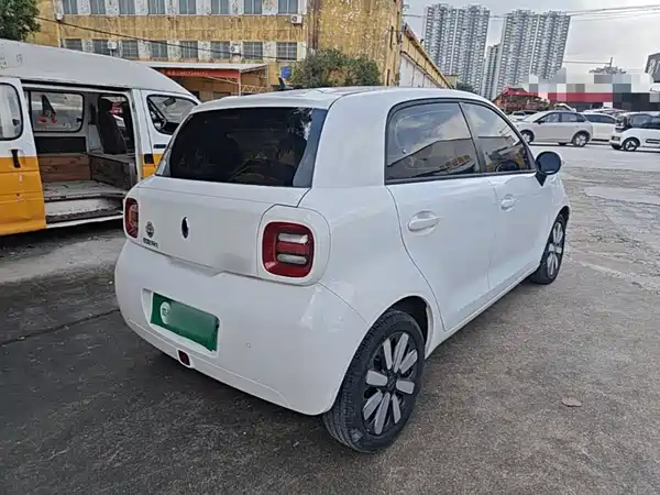 Ora Black Cat 2020